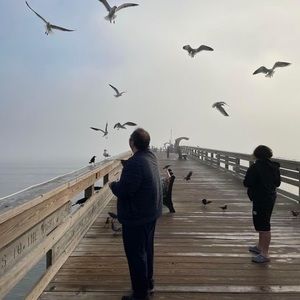 Meet your Posher, Ekrem